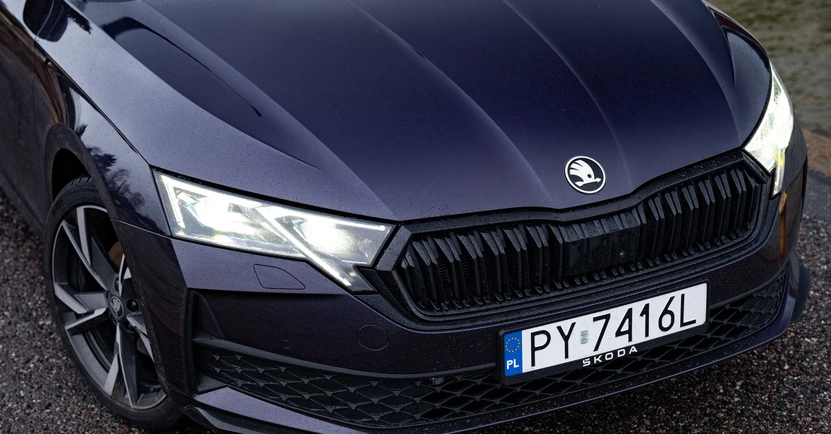 Oto nowa Skoda 4x4. Napęd 6. generacji hitem w Polsce