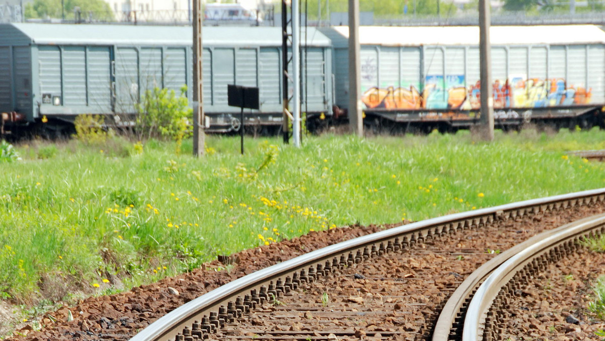 Czeski przewoźnik kolejowy Leo Express chce zaoferować pasażerom w Polsce wysoki komfort i niskie ceny, ale nadal nie ma pociągów, które miałyby jeździć w naszym kraju. Przedstawiciele spółki zapewniają, że rozmawiają z producentami o kupnie nowych składów.