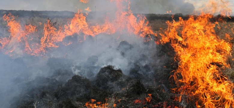 Wielki pożar w Biebrzańskim Parku Narodowym. "Walka o jeden ze światowych cudów natury"