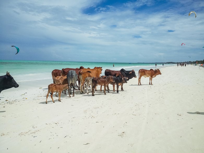 Zanzibar