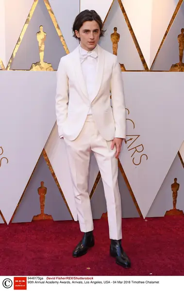 Timothee Chalamet na rozdaniu Oscarów 2018