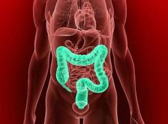 Kolonoskopia raz w roku zmniejsza ryzyko śmierci z powodu raka jelita grubego nawet o 60 proc.