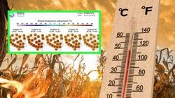 Kolejna fala upałów? Prognoza pogody na sierpień 2024 zaskakuje