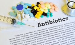 Antybiotyki zmniejszają skuteczność szczepionek, Wyniki badań