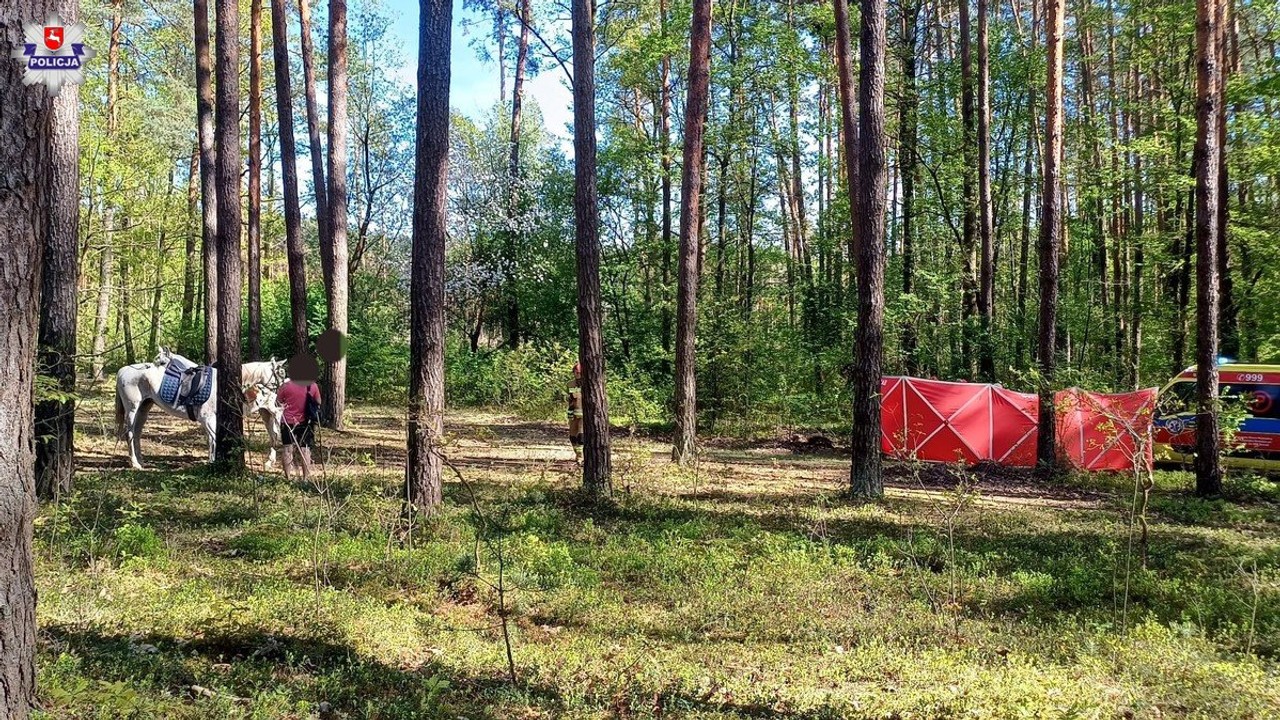 Tragedia podczas jazdy konnej. Nowe informacje w sprawie śmierci 14-latki