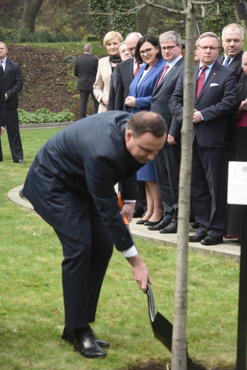 Prezydent Andrzej Duda posadził Dąb Pamięci