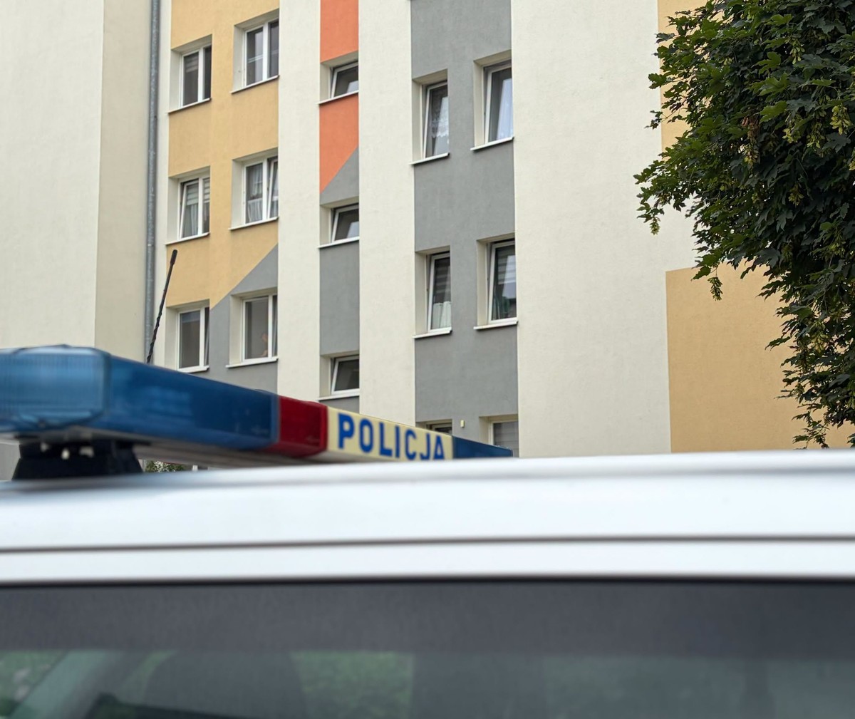 Makabryczne odkrycie w bloku w Puławach. Ciała młodych osób w mieszkaniu