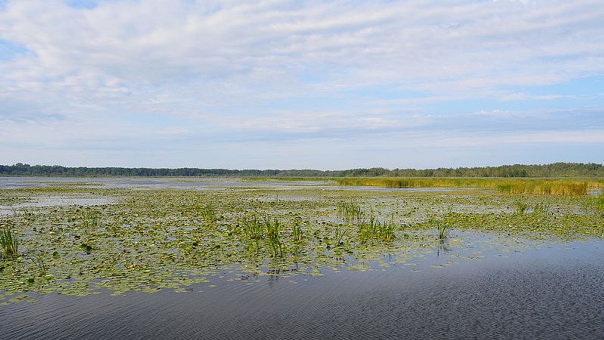 Poziom wody w rzekach i potokach spływających z Wysoczyzny Elbląskiej i Pasłęckiej wciąż opada. Sytuacja hydrologiczna poprawia się, a prognozy są optymistyczne - podały dziś służby kryzysowe wojewody warmińsko-mazurskiego.