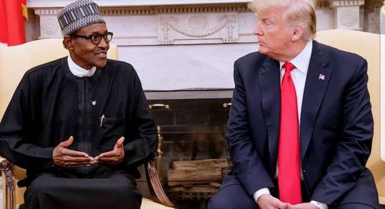 President Muhammadu Buhari and President Donald Trump of the United States. (AllAfrica)