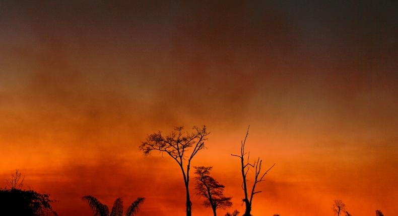 Smoke rises from a burnt area of land in the Xingu Indigenous Park, Mato Grosso state, Brazil, in the Amazon basin, on August 6, 2020