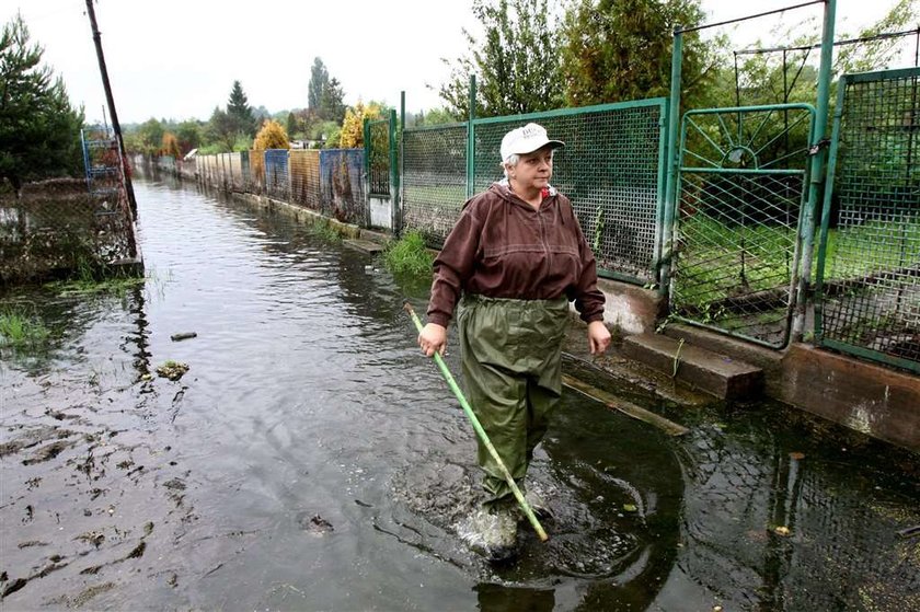 Nasze ogródki toną!