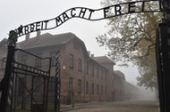 OWICIM OBZ ZAGADY KL AUSCHWITZ