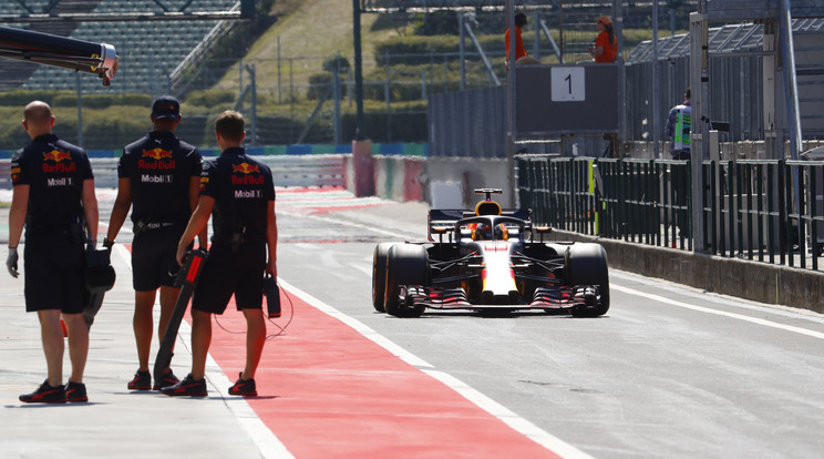 Daniel Ricciardo
vezette a Red 
Bullt tegnap /Fotó: Fuszek Gábor