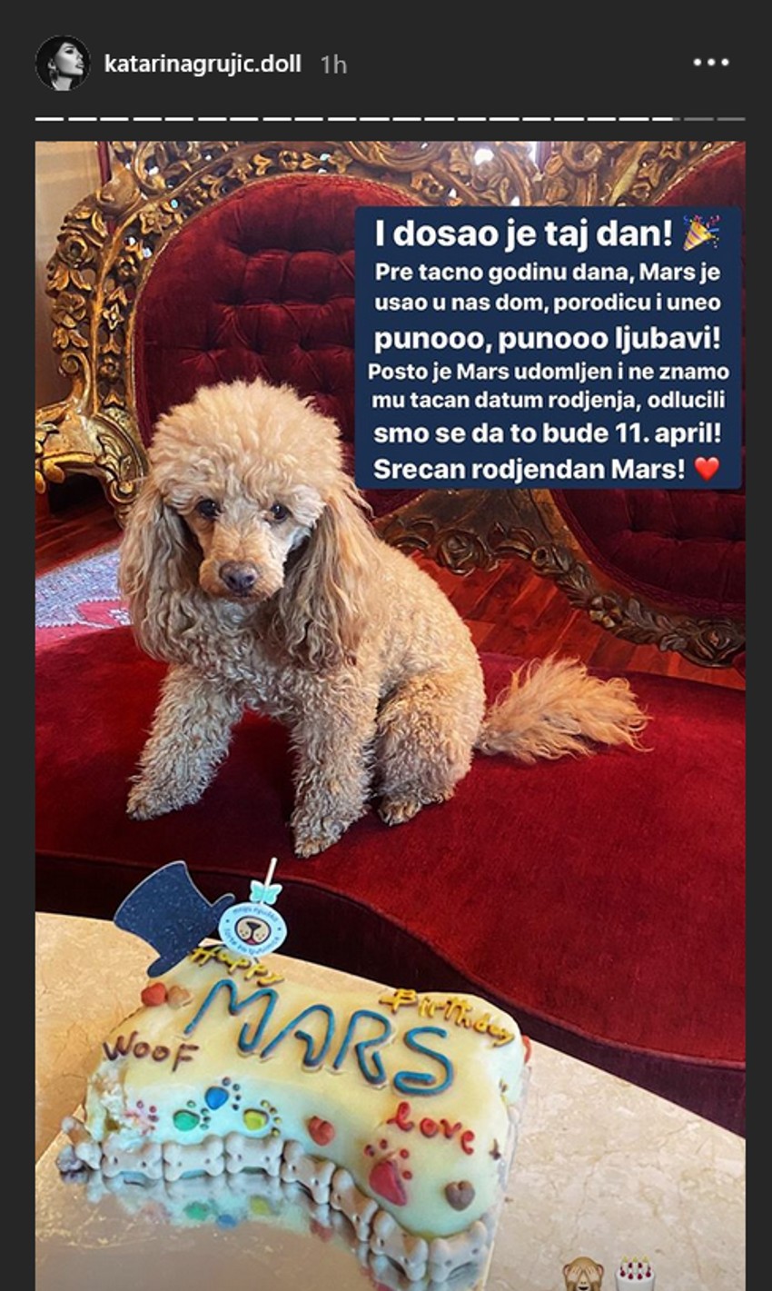 Kaća Grujić, pas Mars