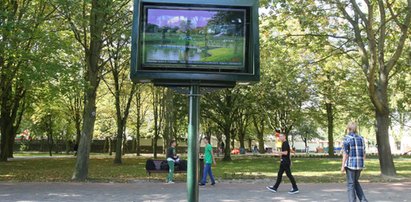 Telewizor w parku?! Głupi pomysł urzędników z Chojnic!