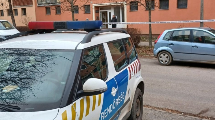 Leszúrta édesanyját egy hatvani férfi /Fotó: Police.hu