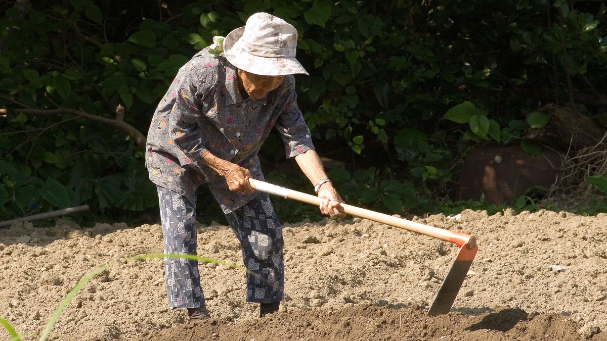 DOK MI JURIMO PARE, ONI JURE SREĆU Na ovom ostrvu žive najdugovečniji ljudi: Ne znaju šta je PENZIJA, bave se sportom i okopavaju baštu u STOTOJ GODINI