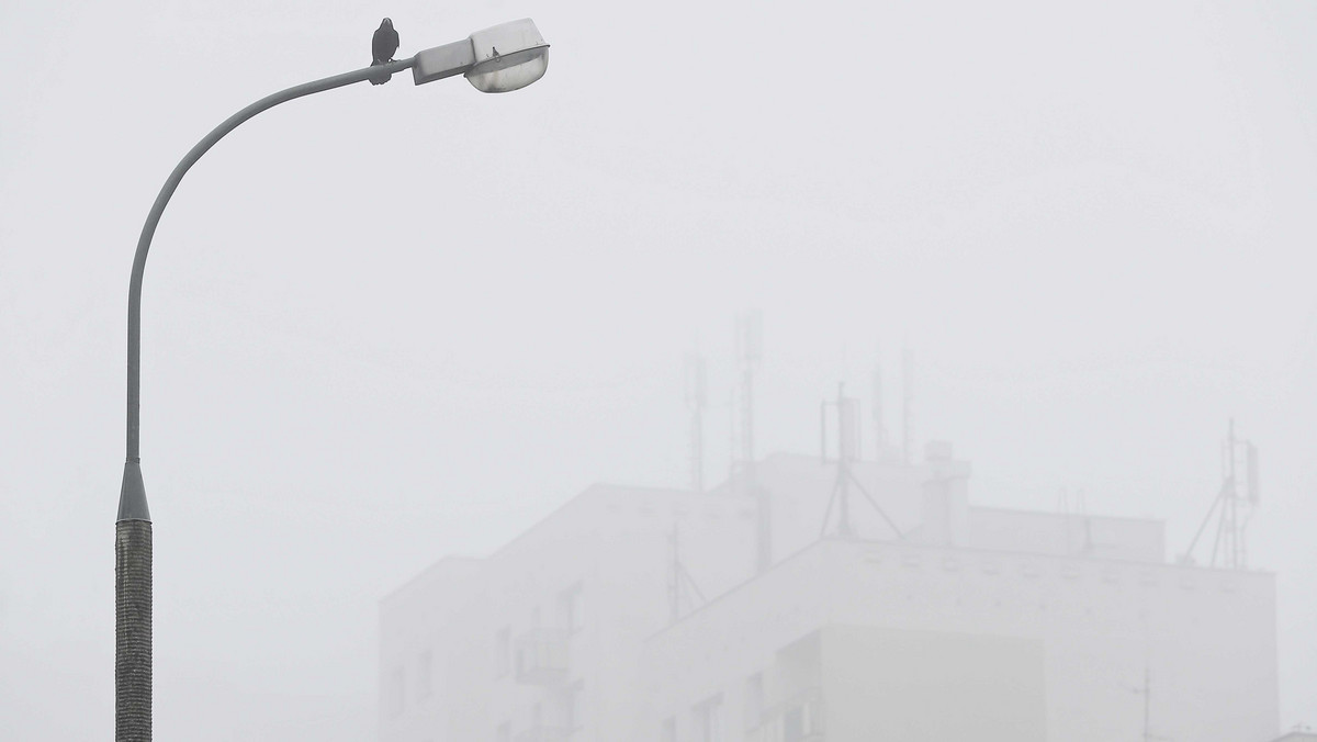 W nocy i rano na obszarze województwa podlaskiego mogą występować gęste mgły - ostrzega IMGW. Jak podano, widoczność w niektórych miejscach może spaść poniżej 200 metrów.