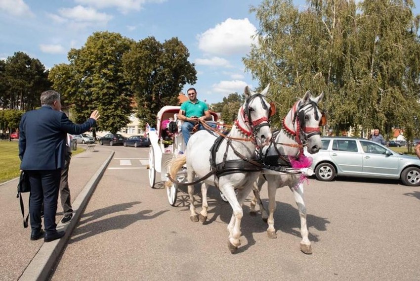Božidar Miljanović ispred porodilišta u beloj kočiji u kojoj je došao po ženu Zlatu i ćerkicu Milicu