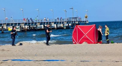 Tajemnicze zwłoki na plaży nad Bałtykiem. Szybko odkryto straszną prawdę