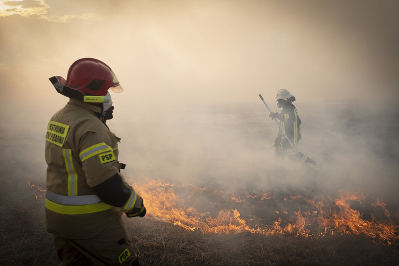 Pożar w Biebrzańskim Parku Narodowym. Instytut zbada, jakie są skutki dla przyrody