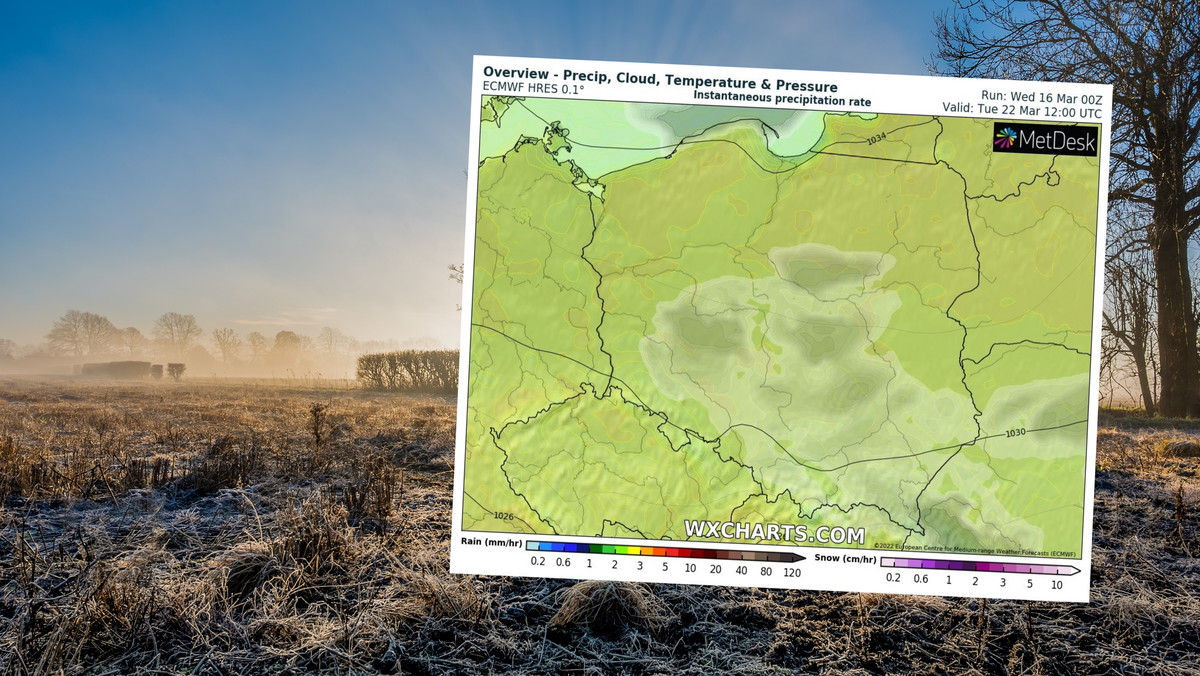 Mamy prognozę na pierwsze dni wiosny. Zima na dobre się nie skończy