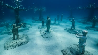 Las rzeźb na dnie morza u wybrzeży Cypru. Podwodna wystawa za milion euro