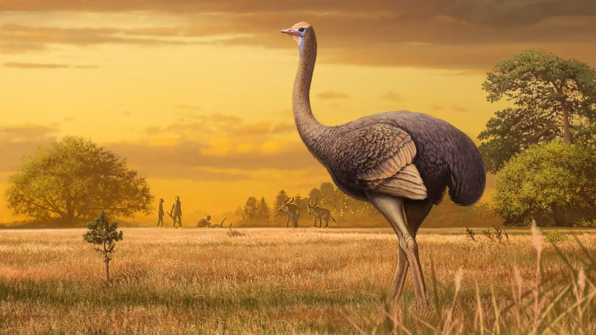 W Europie odkryto szczątki monstrualnego prehistorycznego ptaka. Ważył tyle, co niedźwiedź