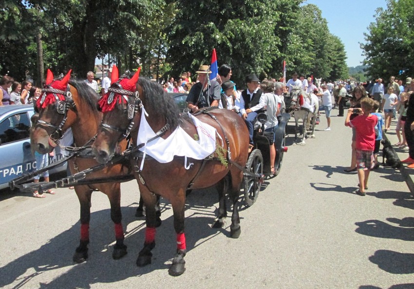 Konji Dropčevića iz Lešnice