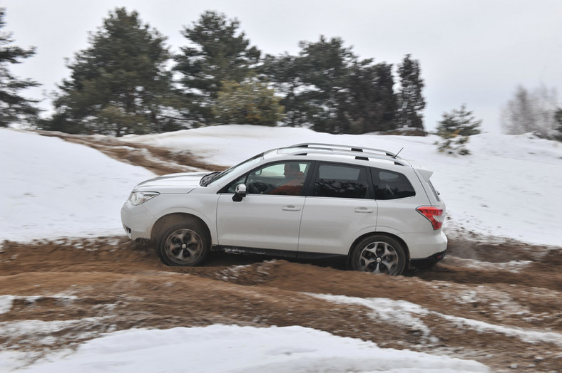 Toyota RAV4 kontra Ford Kuga i Subaru Forester: porównanie najnowszych SUV-ów na rynku