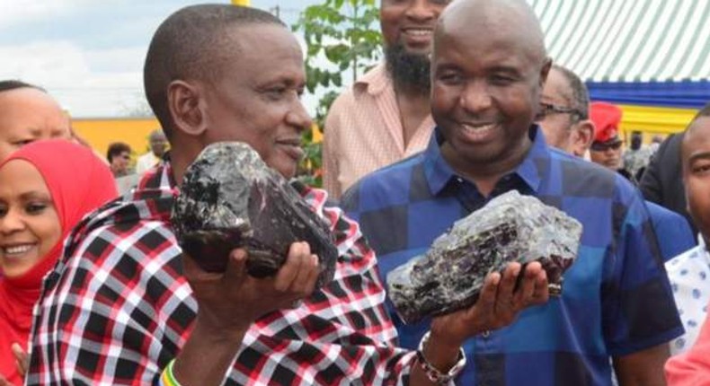 Saniniu Laizer holding the Tanzanite stones [Tanzania Ministry of Minerals]