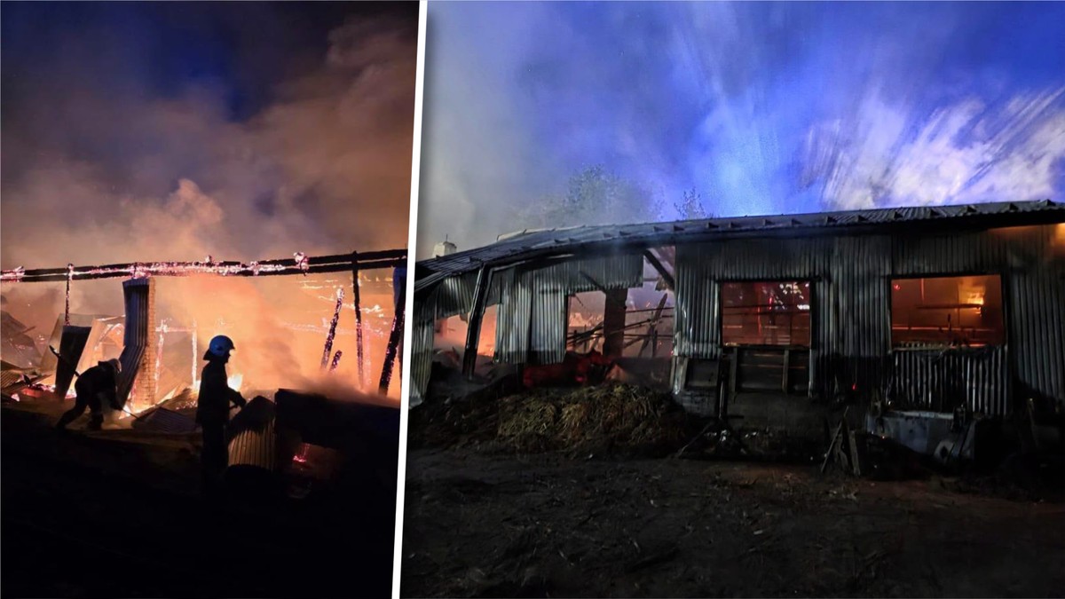 Barn fire in Lipnica Dolna: approximately 40 cows burned
