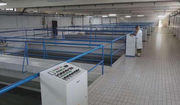 Fabrika vode Rzav