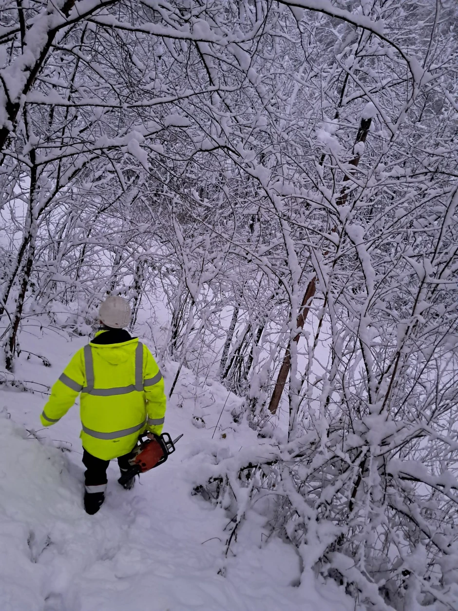 Elektrodistribucija (EDB) Srbije