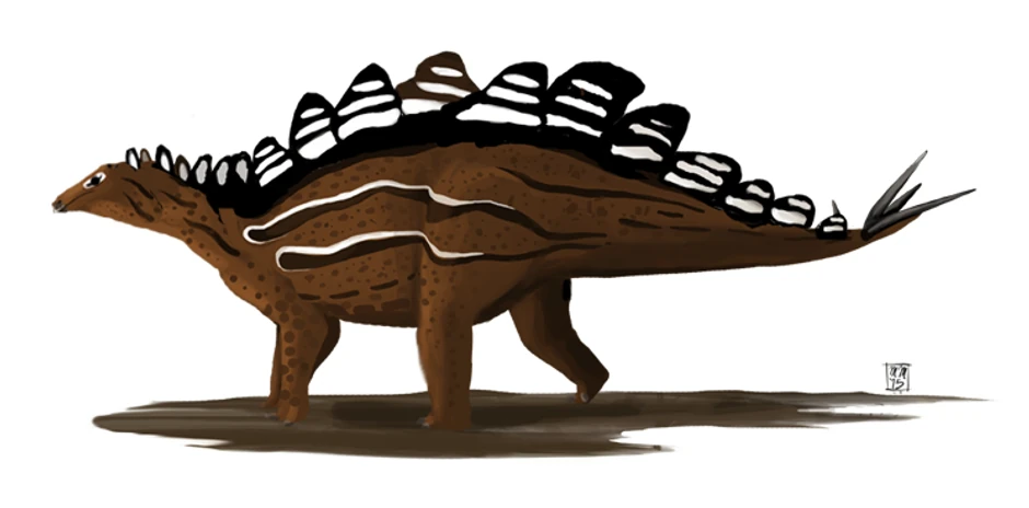 Stegosaurus