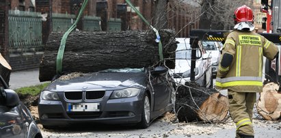 Wichura spustoszyła Wrocław