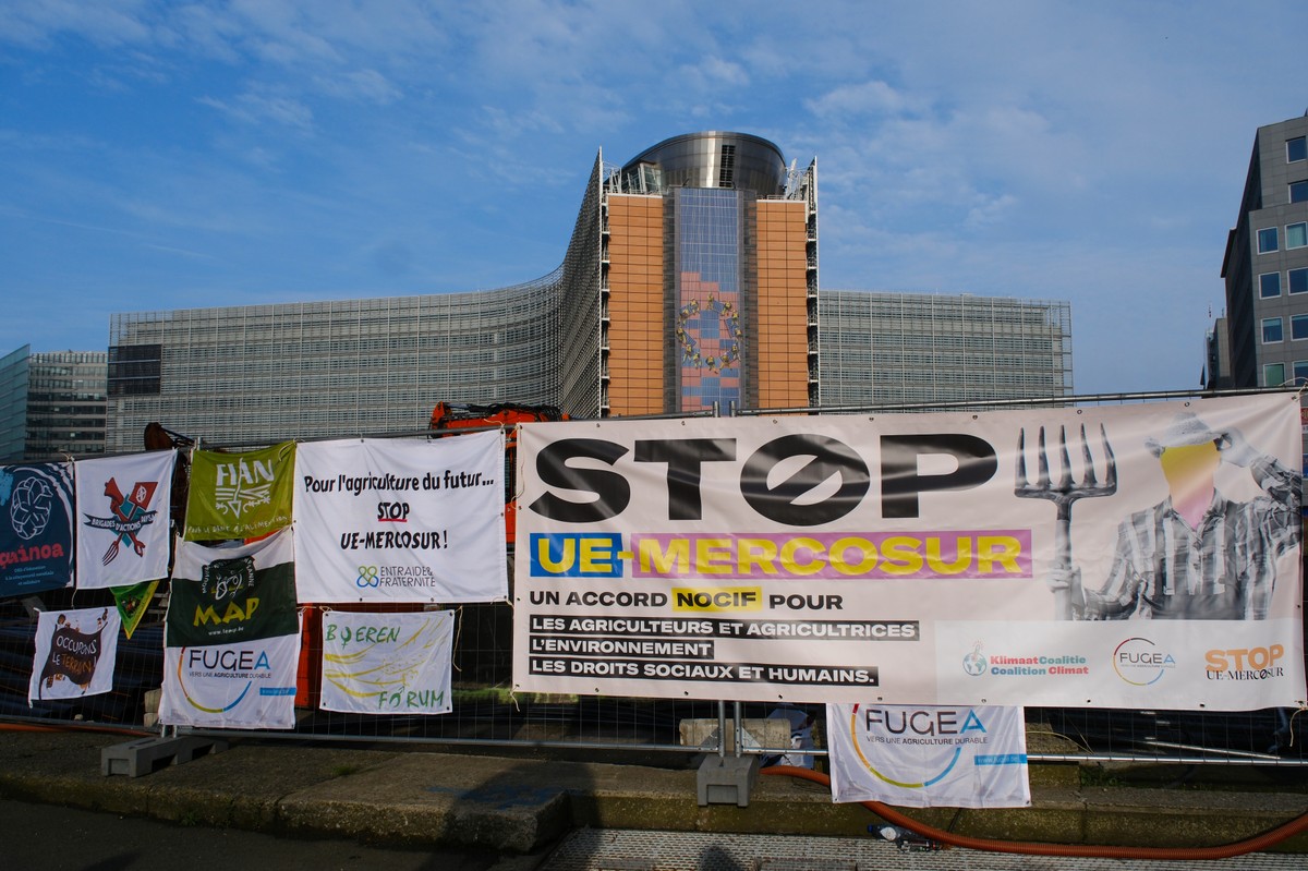 Ekspertka o umowie z Mercosur. "Może nieznacznie pogorszyć pozycję rolników"