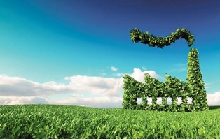 Zieleń to nowa czerń