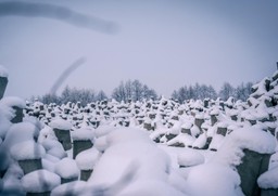 wzmożone ruchy wojska przy granicy z rosją. polska odgradza się potężną zaporą