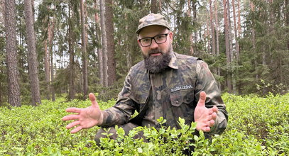 Czy w tym roku będą jagody w lasach? Leśniczy nie ma wątpliwości