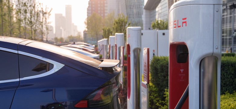Tesla wjechała w drzewo. Dwie osoby zginęły, nikt nie siedział za kierownicą