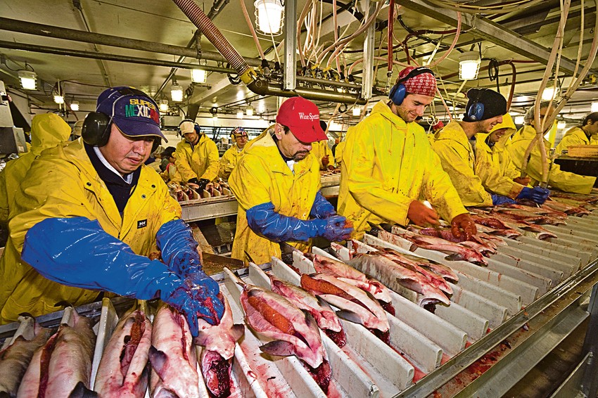 Radi se po 16 sati dnevno, u tri smene i bez slobodnog dana, ali se niko od radnika ne žali