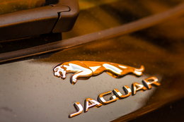 Polski importer Jaguara i Land Rovera od początku roku sprzedał o 39 proc. samochodów więcej