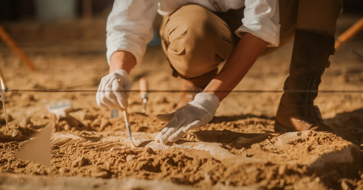 Niezwykłe odkrycie archeologów z Łodzi. Groby i szkielety sprzed 1000 lat przy romańskiej świątyni