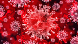 Koronawirus - 6 pytań do wirusologa