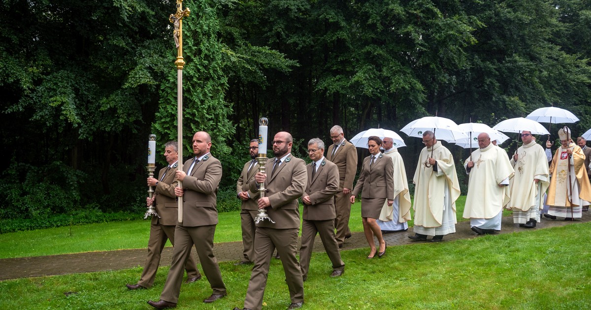 Tak działa Polska Rzeczpospolita Leśna. Państwo w państwie, leśne pałace i biurowce