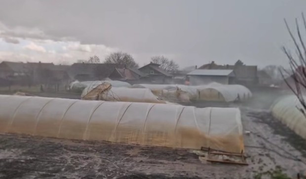 Pljusak Ruski krstur