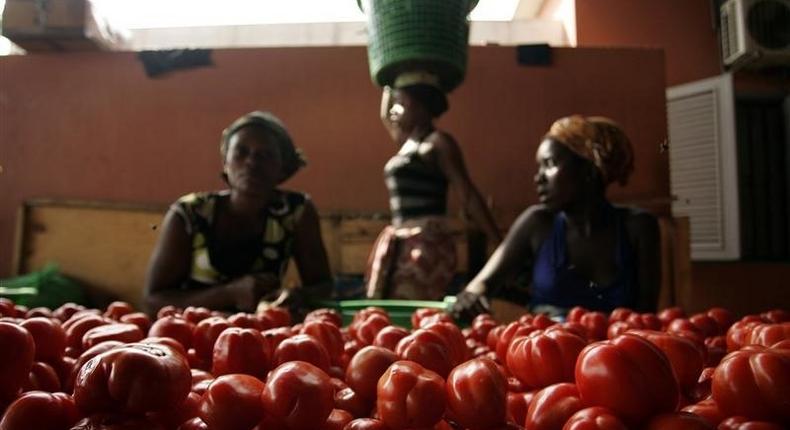 Women sell tomatoes at a market in Cabinda January 12, 2010.
REUTERS/Rafael Marchante