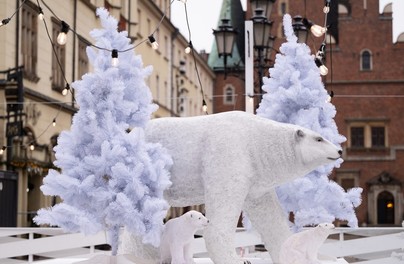 Poślizgaj się w Rynku!