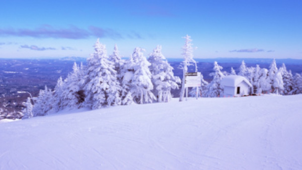 Wielbiciele jazdy na desce wiele zawdzięczają górze Stratton. W 1983 ośrodek narciarski w stanie Vermont jako pierwszy wpuścił snowboardzistów na swoje trasy, przyczyniając się do błyskawicznego rozwoju ich ulubionego sportu.